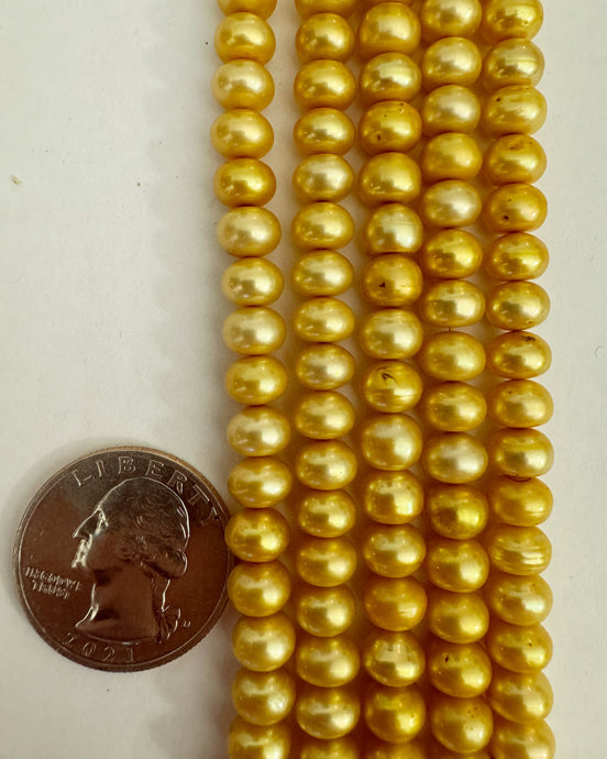 Freshwater Pearl, yellow orange, 7x4mm rondelle, 15