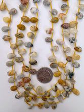 mexican crazy lace agate, 12x8x5mm teardrop pendant, 15" strand, sold per strand