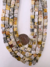 mexican crazy lace agate, 6mm cube, 15" strand, sold per strand (light batch)