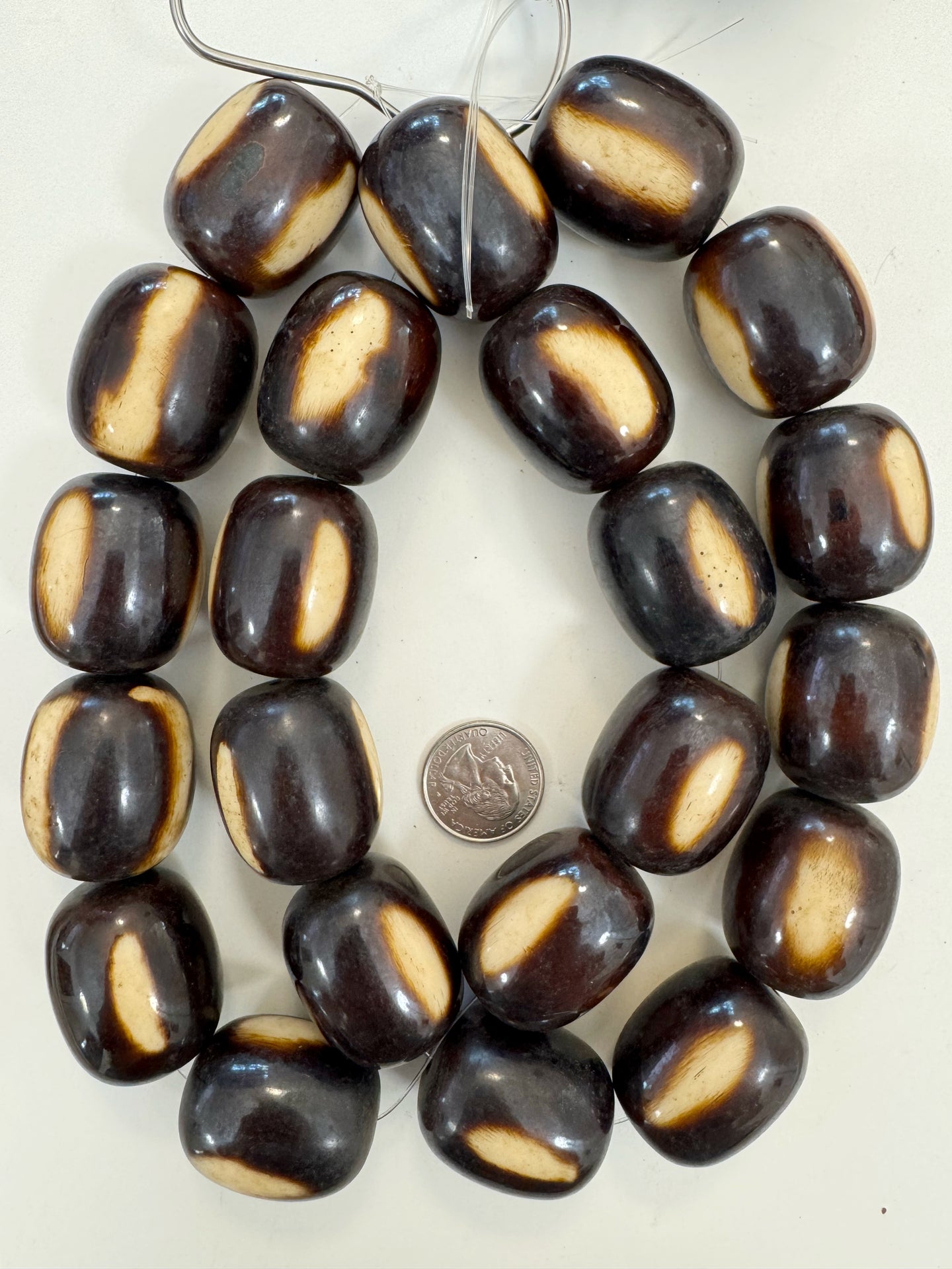dark chocolate brown off white stripe, faux bone, vintage look resin, 35x29mm barrel tube, 15
