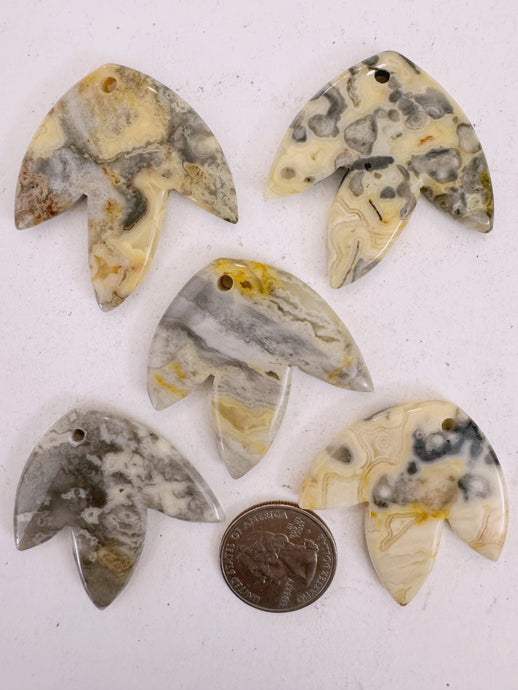 crazy lace agate, 42x42x5mm carved leaf motif pendant mix, 5 piece lot (batch 1)