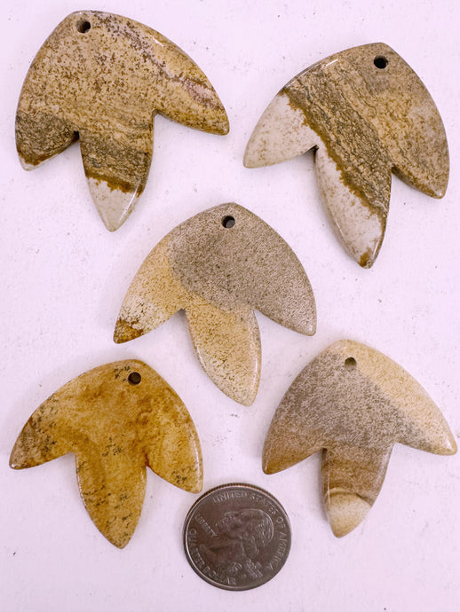 picture jasper, 42x42x5mm carved leaf motif pendant mix, 5 piece lot (batch 7)