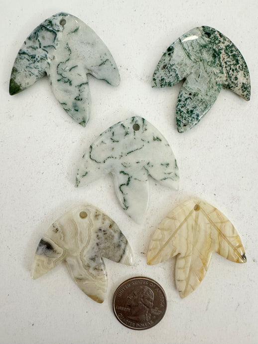 tree agate, crazy lace agate, 42x42x5mm carved leaf motif pendant mix, 5 piece lot