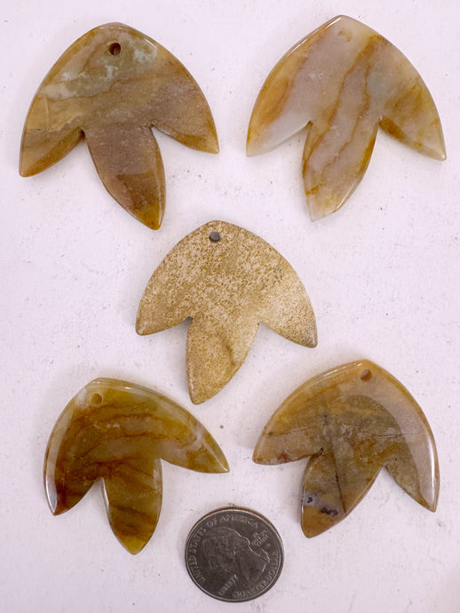 indian agate, picture jasper, 42x42x5mm carved leaf motif pendant mix, 5 piece lot