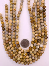 fossil coral, 8mm round, 15" strand,  SOLD PER STRAND