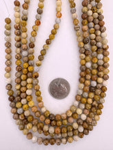 fossil coral, 6mm round, 15" strand,  SOLD PER STRAND