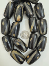 black off white golden horn, dot line motif, 42x23mm tube, 15" strand, sold per strand
