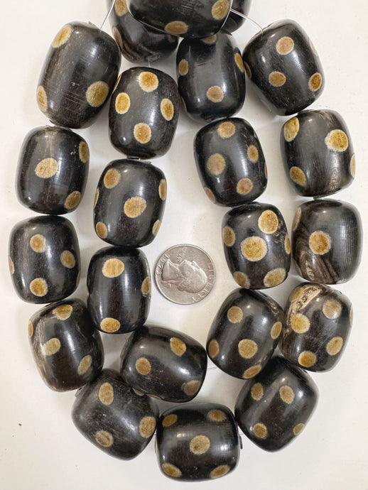 black off white golden horn, small polka dot motif, 32x24mm barrel tube, 15