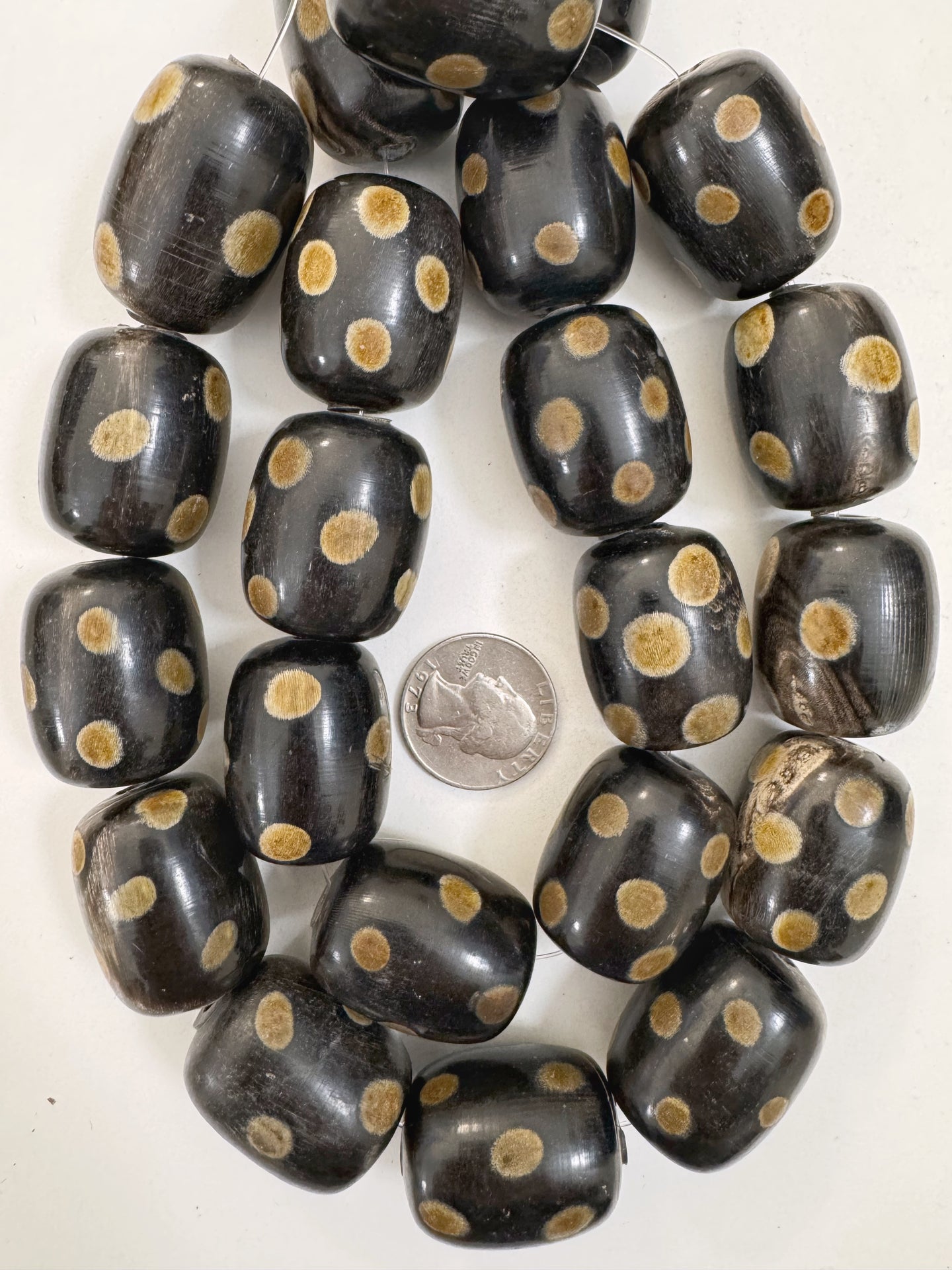 black off white golden horn, small polka dot motif, 32x24mm barrel tube, 15