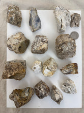 raw and unfinished natural dendritic opal, 2.17 pound 15 piece lot, for lapidary or mineral sample display use, no holes