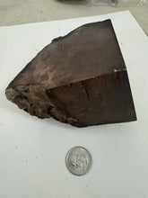 raw and cut edges petrified wood, 1.39 pound 1 piece lot, for lapidary or mineral sample display use, no holes