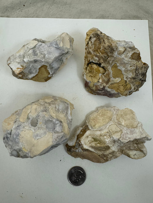 raw and unfinished natural stone, 2.5 pound 4 piece lot, for lapidary or mineral sample display use, no holes