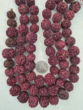 dark magenta rudraksha seed, vintage stock, 12-19mm assorted size, 15" strand, sold per strand