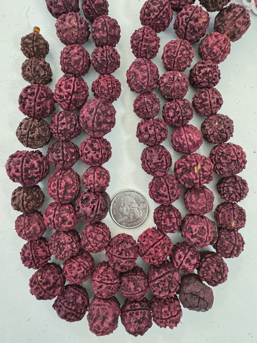 dark magenta rudraksha seed, vintage stock, 12-19mm assorted size, 15
