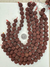 dark red brown rudraksha seed, vintage stock, 14-18mm assorted size, 15" strand, sold per strand