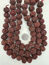 dark red brown rudraksha seed, vintage stock, 18-21mm assorted size, 15" strand, sold per strand