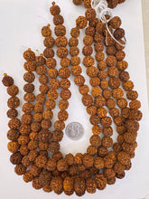 orange rudraksha seed, vintage stock, 13-16mm assorted size, 15" strand, sold per strand