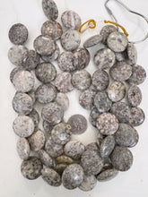 chinese fossil shell, 25x25x7mm coin, 15" strand, sold per strand