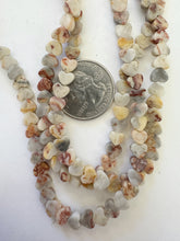 mexican crazy lace agate, 6x6x3mm heart, 15" strand, sold per strand