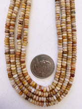mexican crazy lace agate, 4x2mm rondelle, 15" strand, sold per strand