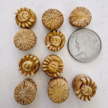 off white, hand carved sun and starburst motif, vintage stock chinese bone, 14x14x7mm coin, SOLD PER BEAD