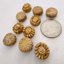 off white, hand carved sun and starburst motif, vintage stock chinese bone, 14x14x7mm coin, SOLD PER BEAD
