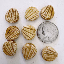 off white, hand carved pine needle motif, vintage stock chinese bone, 17x15x6mm teardrop SOLD PER BEAD
