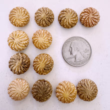 off white, hand carved lines sunburst motif, vintage stock chinese bone, 16x16x8mm coin SOLD PER BEAD