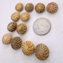 off white, hand carved lines sunburst motif, vintage stock chinese bone, 16x16x8mm coin SOLD PER BEAD