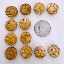 off white, hand carved horse motif, vintage stock chinese bone, 17x17x7mm coin SOLD PER BEAD