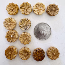 off white, hand carved flower motif, vintage stock chinese bone, 17x17x7mm coin, SOLD PER BEAD