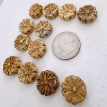 off white, hand carved flower motif, vintage stock chinese bone, 17x17x7mm coin, SOLD PER BEAD
