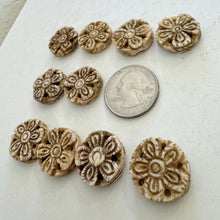 off white, hand carved flower motif, vintage stock chinese bone, 19x19x5mm coin, SOLD PER BEAD