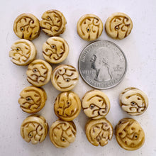 off white, hand carved dragon head profile motif, vintage stock chinese bone, 12x12x6mm coin, SOLD PER BEAD