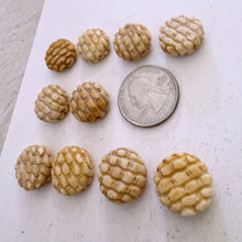 off white, hand carved woven basket pattern motif, vintage stock chinese bone, 17x17x8mm coin, SOLD PER BEAD