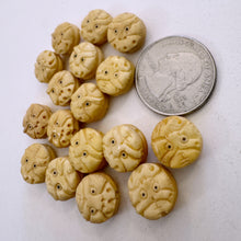 off white, hand carved dragon motif, vintage stock chinese bone, 13x13x6mm coin, SOLD PER BEAD
