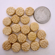 off white, hand carved tortoise pattern motif, vintage stock chinese bone, 13x13x6mm coin, SOLD PER BEAD