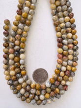 mexican crazy lace agate,  8mm round, 15" strand, sold per strand