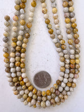fossil coral, 6mm round, 15" strand, sold per strand