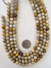 fossil coral, 8mm round, 15" strand, sold per strand
