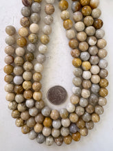fossil coral, 10mm round, 15" strand, sold per strand