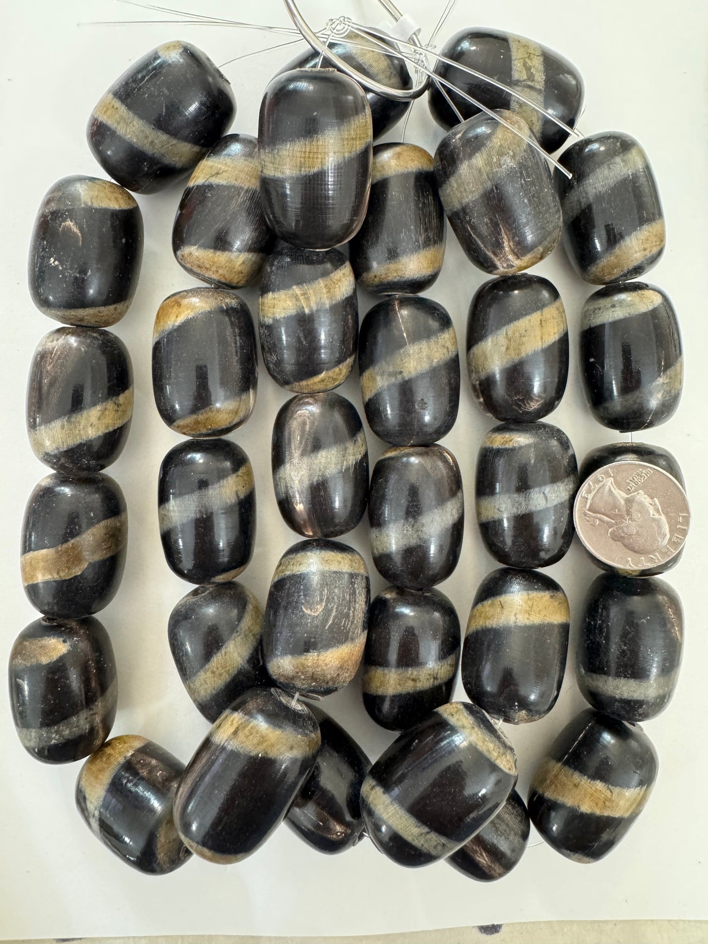 black off white golden horn, spiral motif, 32x24mm barrel tube, 15