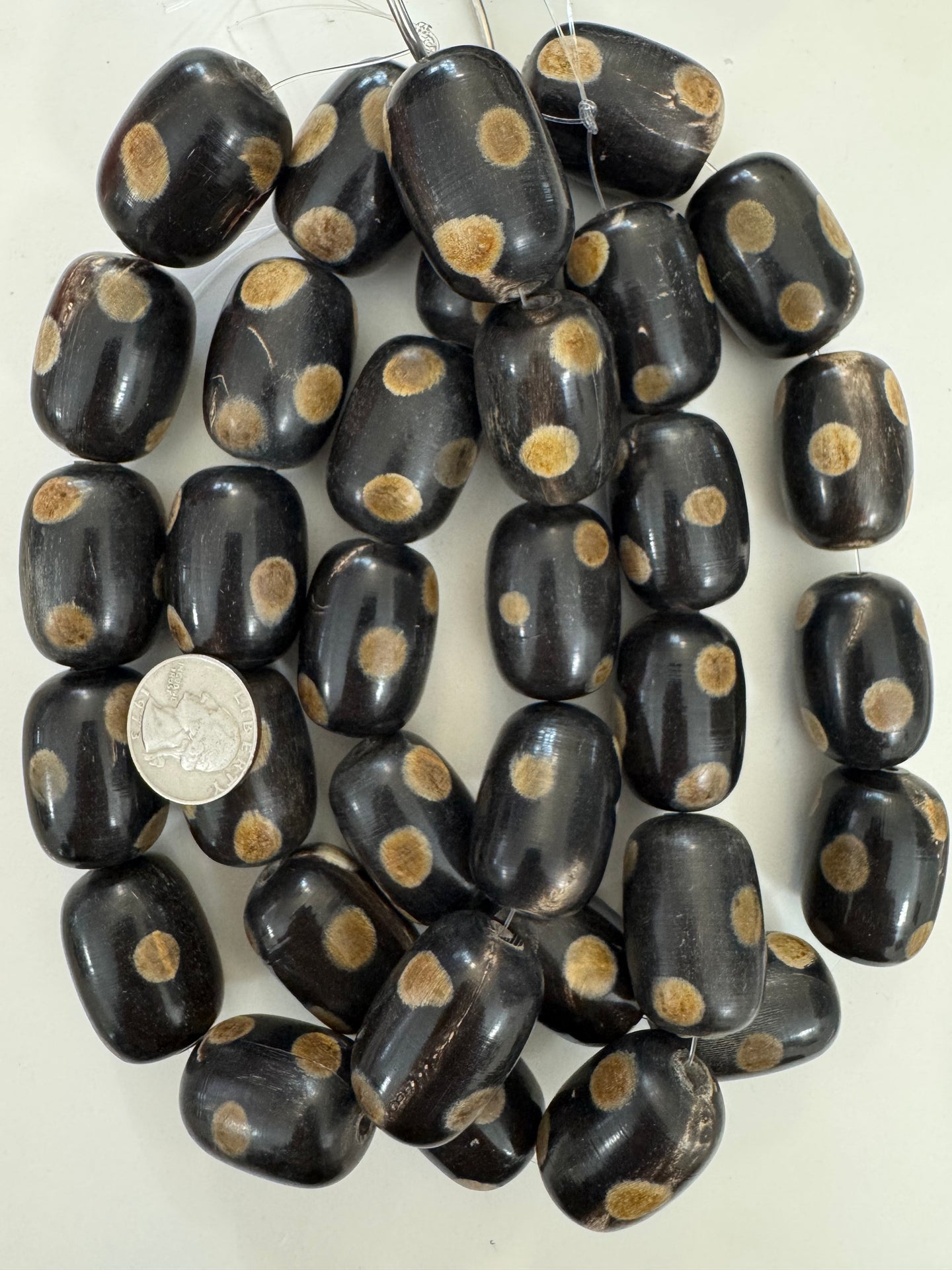 black off white golden horn, medium polka dot motif, 32x24mm barrel tube, 15