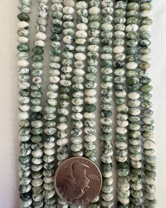 Tree Agate, 6x4mm rondelle, 15
