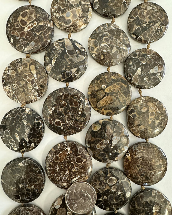 Turritella Agate, 28-38mm puff coin, 15