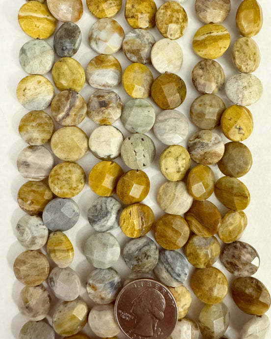 Yellow Ocean Jasper, 14x14x6mm faceted puff coin, 15